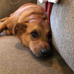 Meet your Posher, Charmin